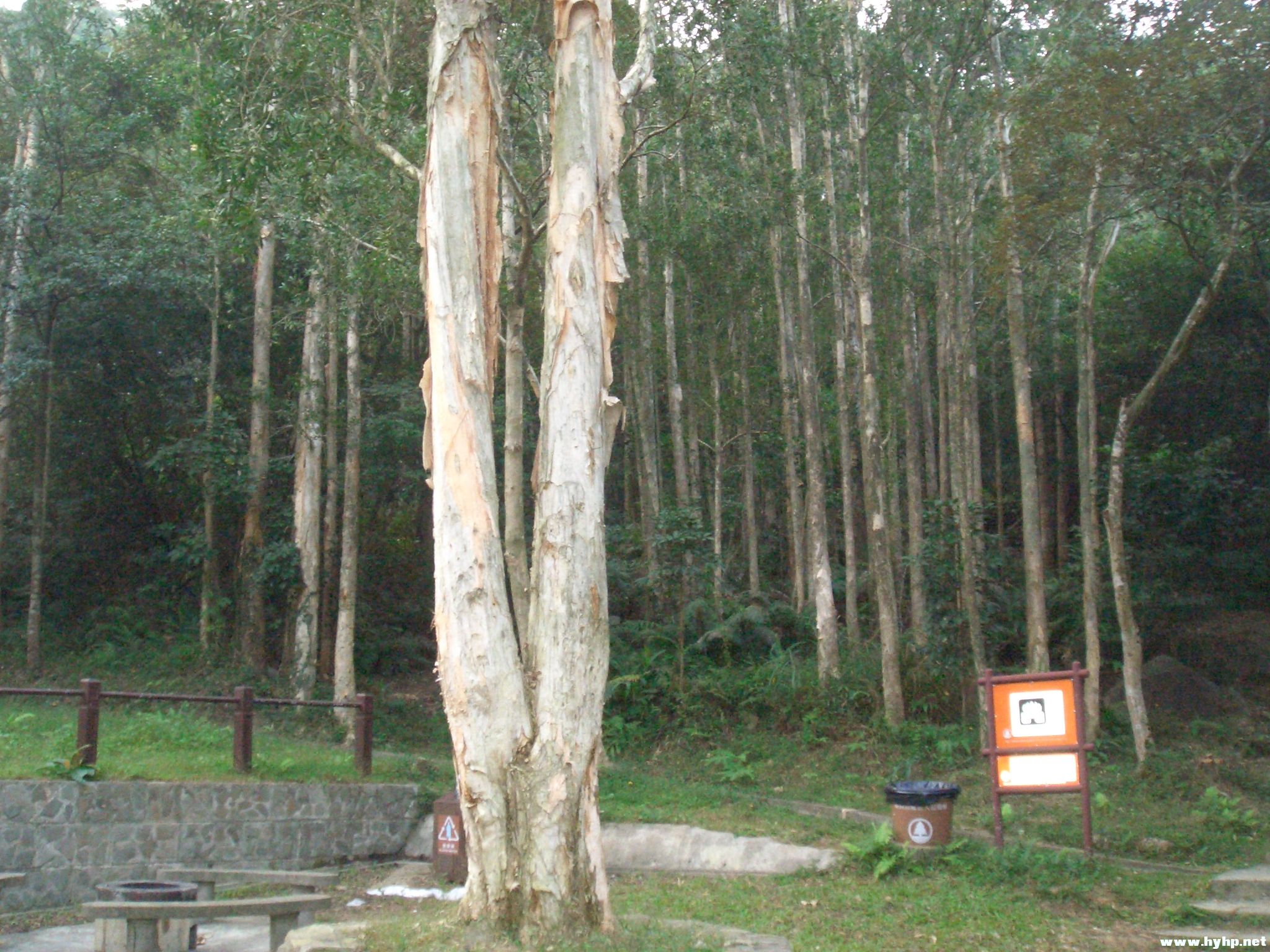 Ƭ 094.jpg