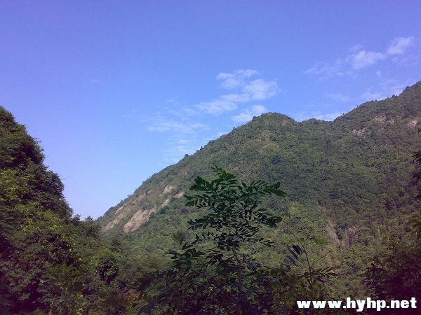 200811151667.jpg