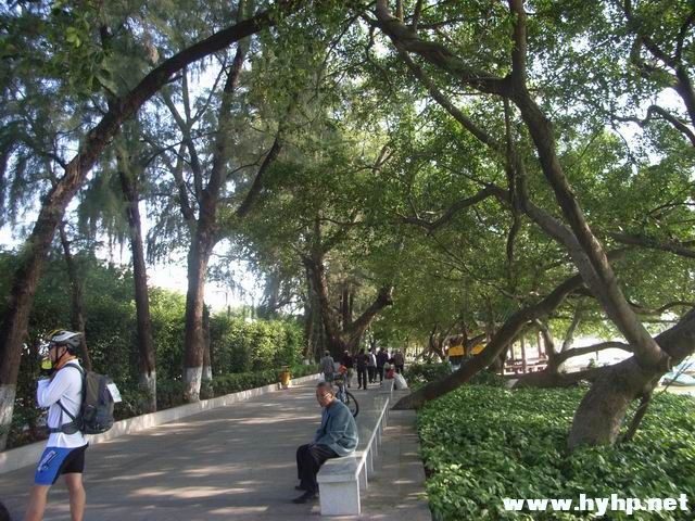 Ƭ 088.jpg