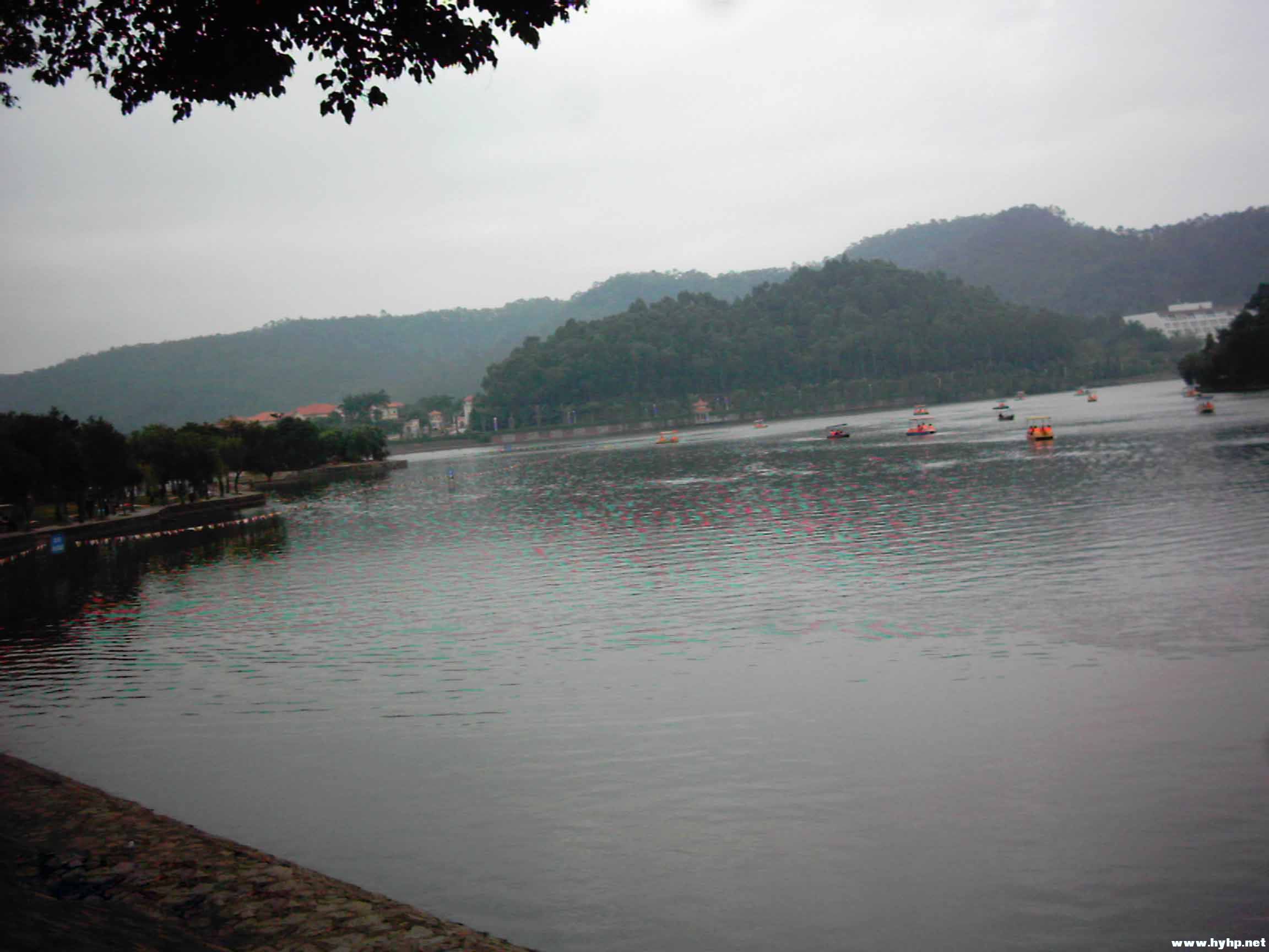 IMAG0013.jpg