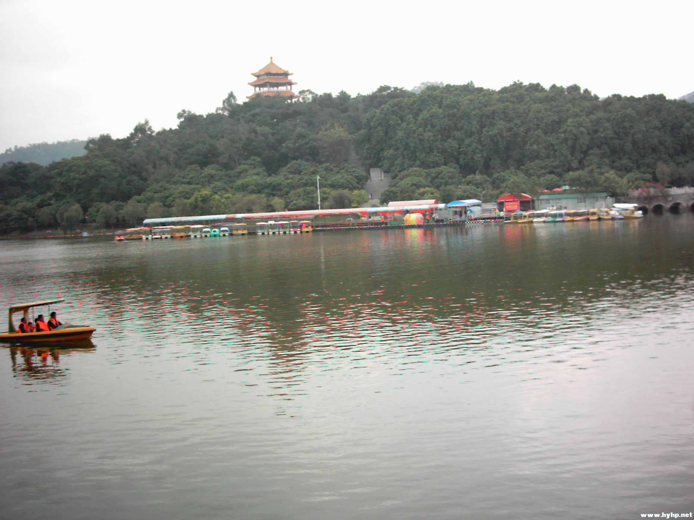 IMAG0011.jpg