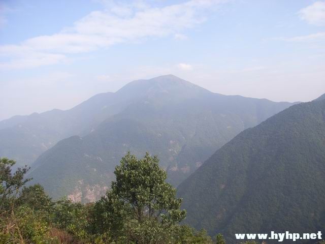 RIMG0288.JPG