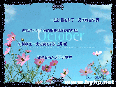 16_2550_dd3be95a86d9676.gif