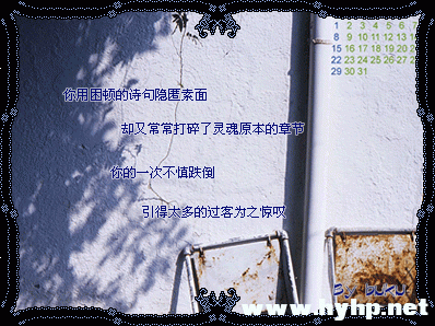 16_2550_823353ce57c9807.gif