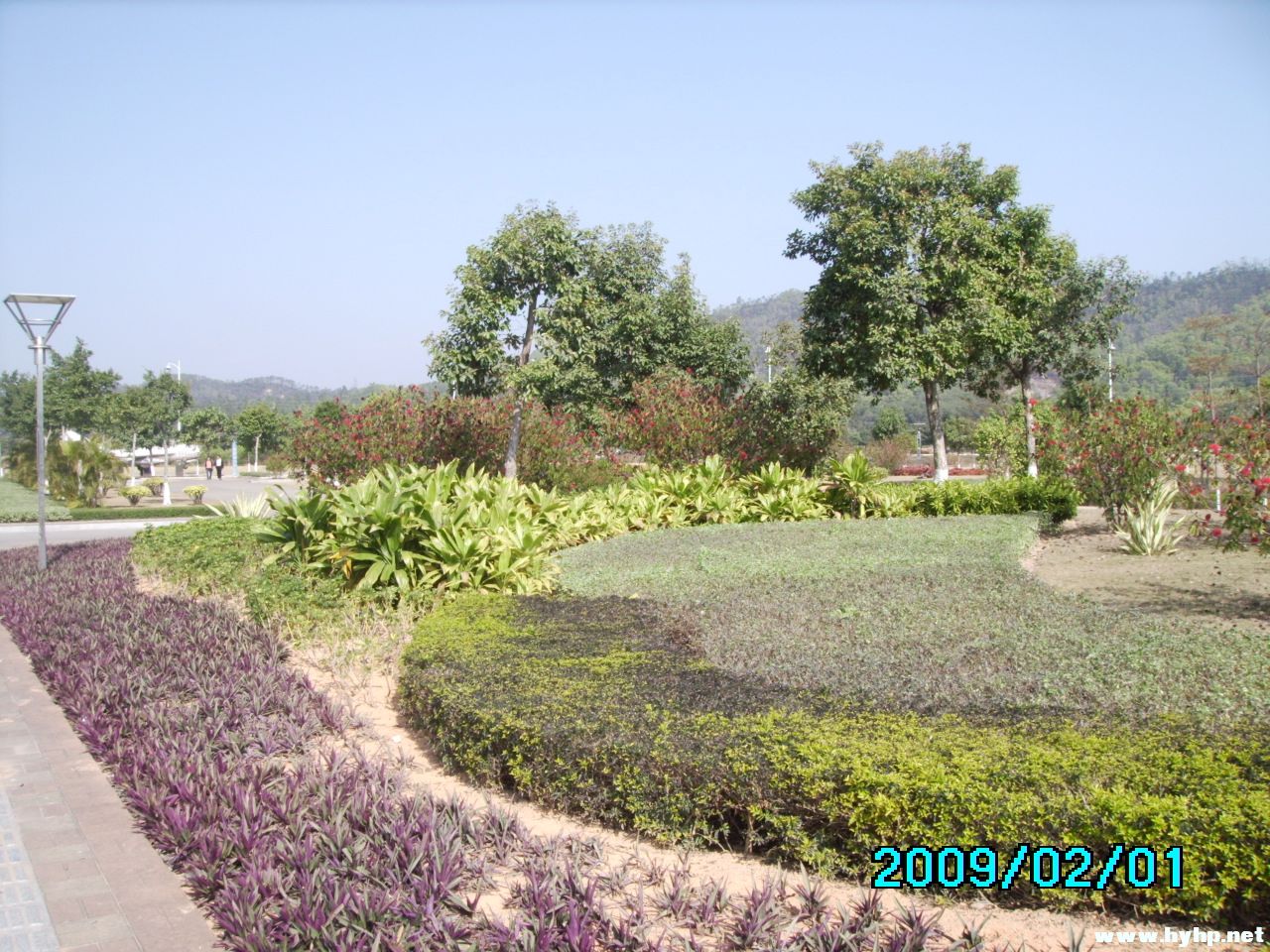 IMG_0004.JPG