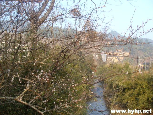 DSC00403.JPG