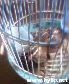 IMG0014A.jpg