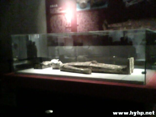 IMG0064A.jpg