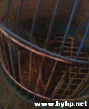 ֪ʲôϱյ