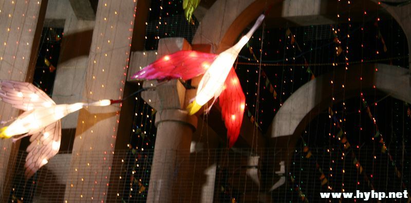 IMG_1904.JPG