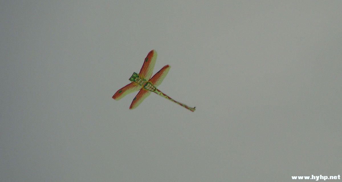 DSC00614.JPG