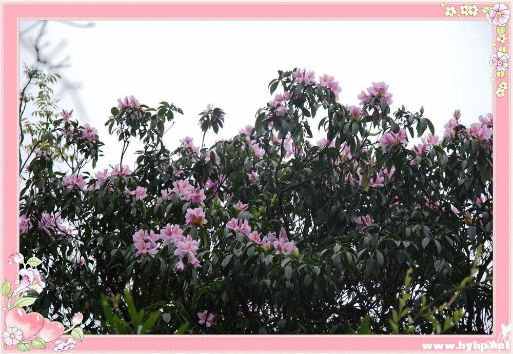 ֪