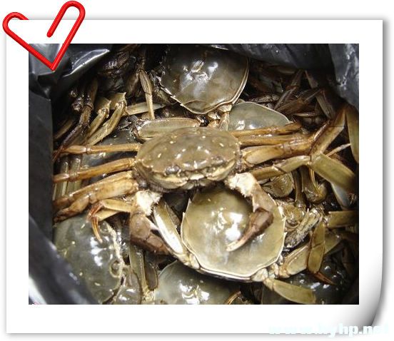大闸蟹1.jpg