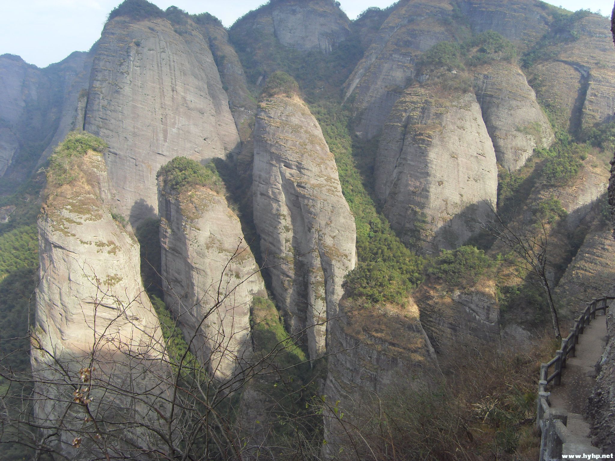 SDC11147.JPG