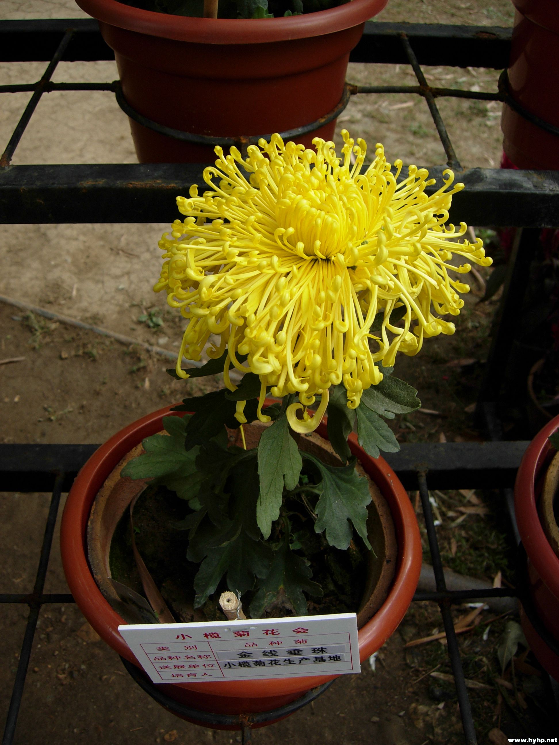 DSCN3973.JPG
