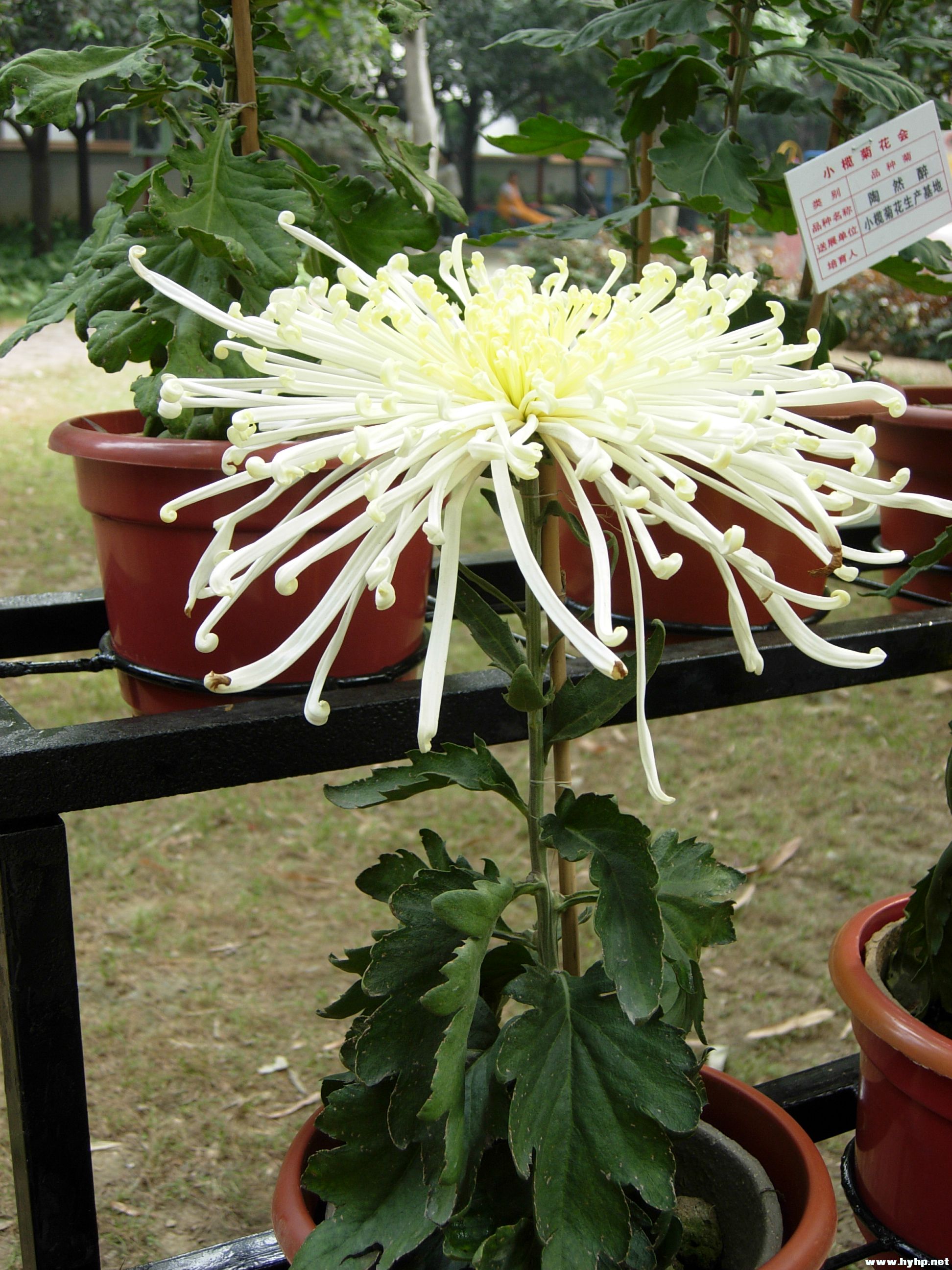 DSCN3962.JPG