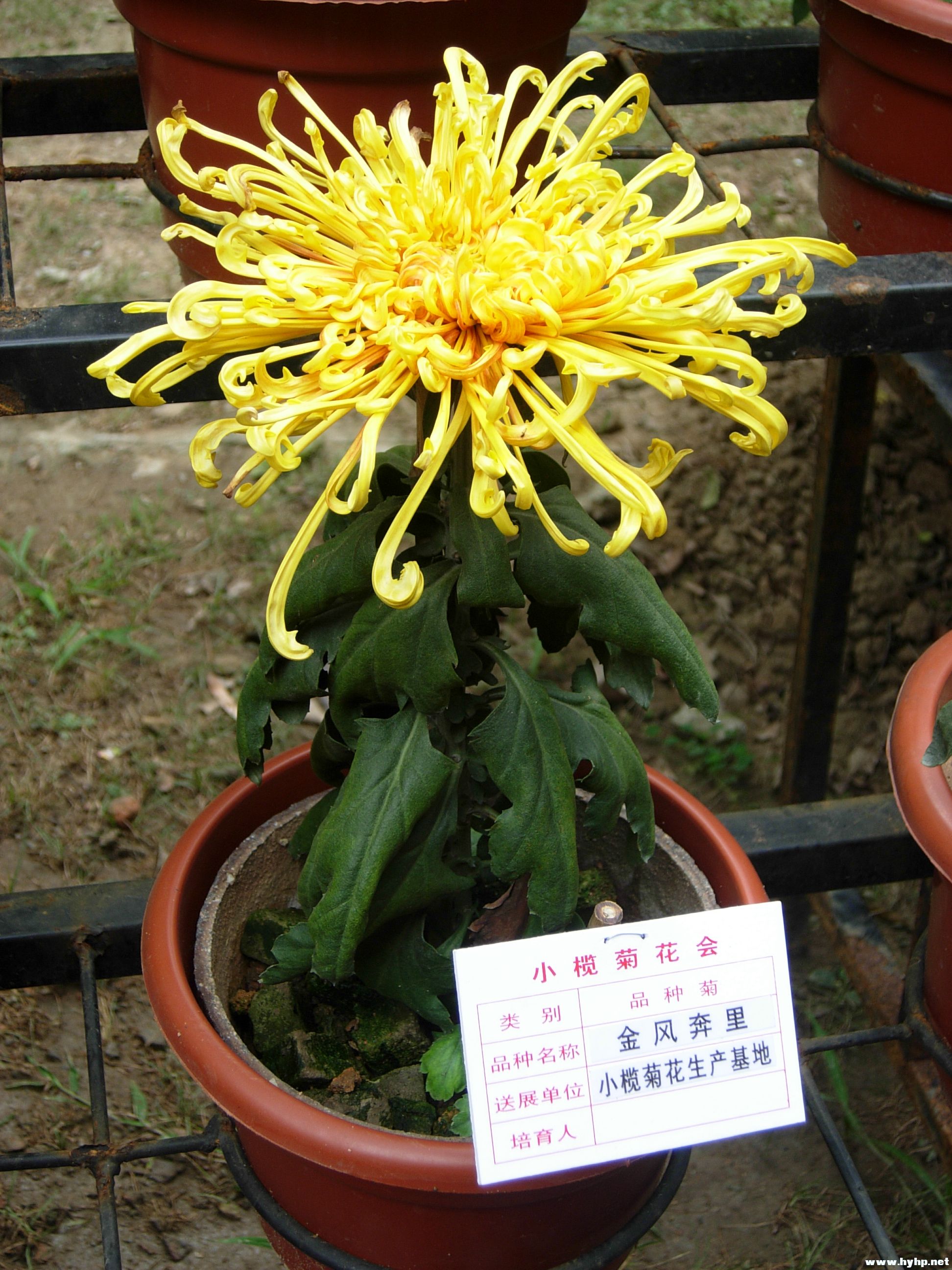 DSCN3984.JPG
