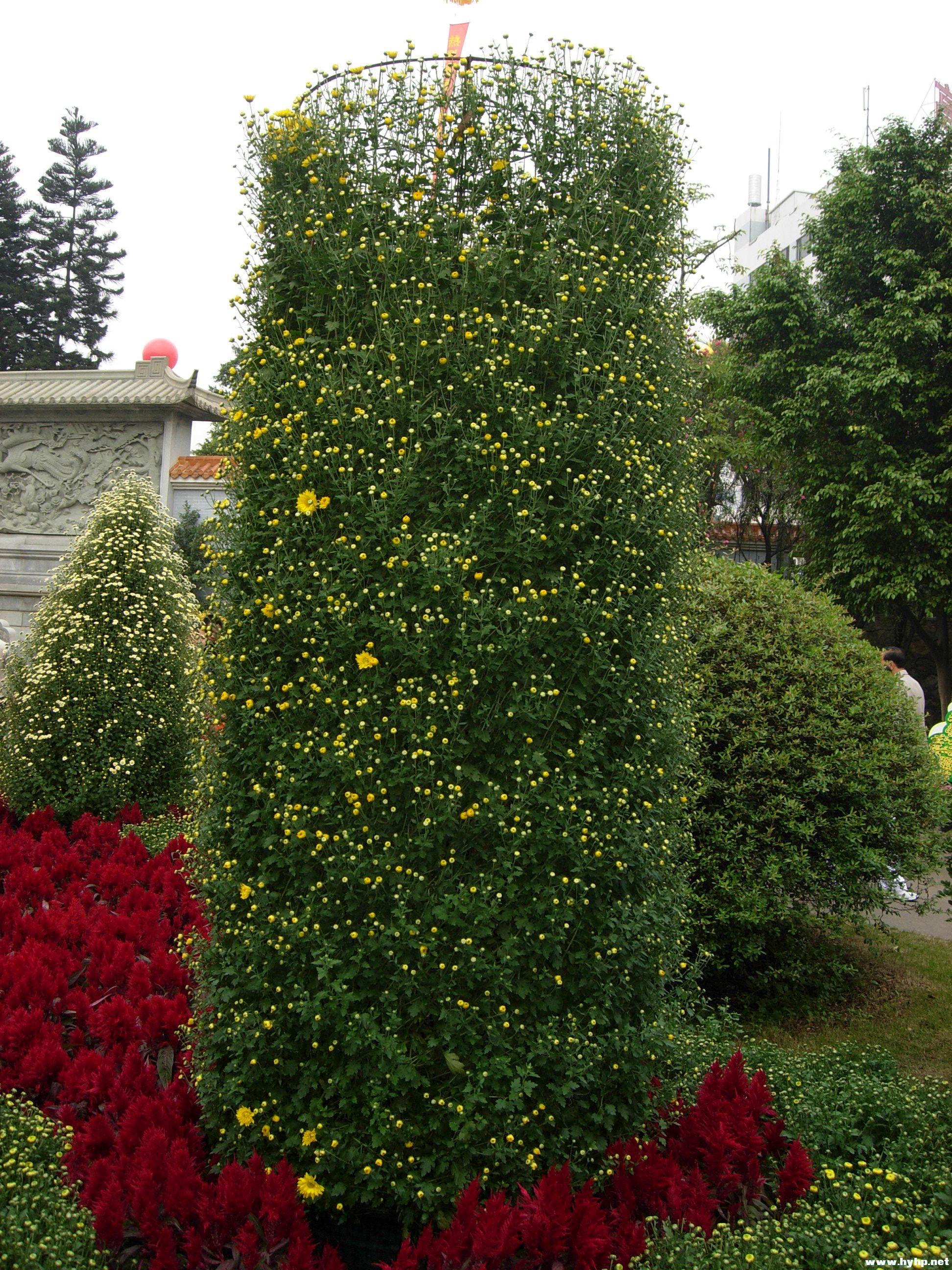 DSCN3932.JPG