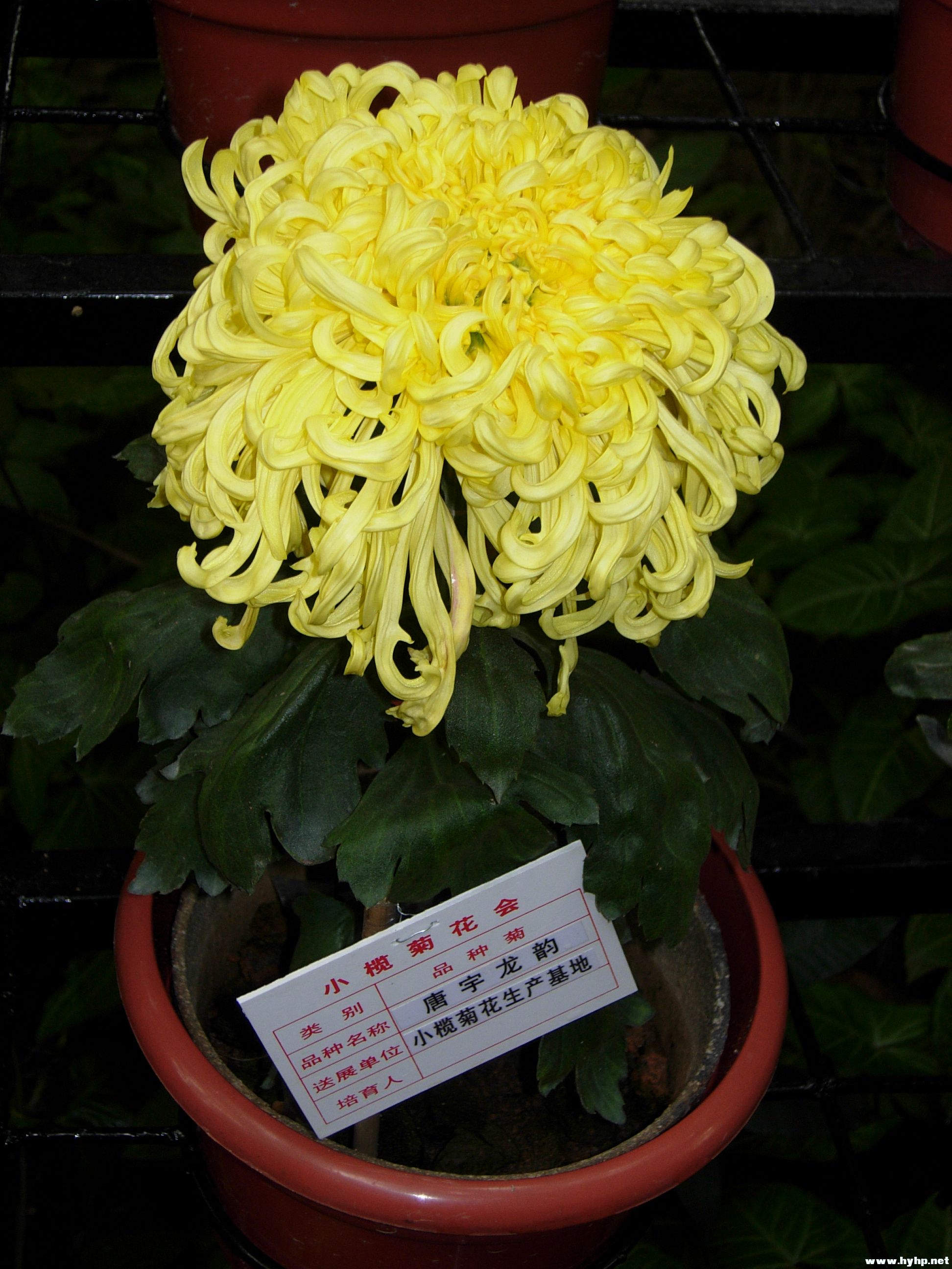 DSCN3986.JPG