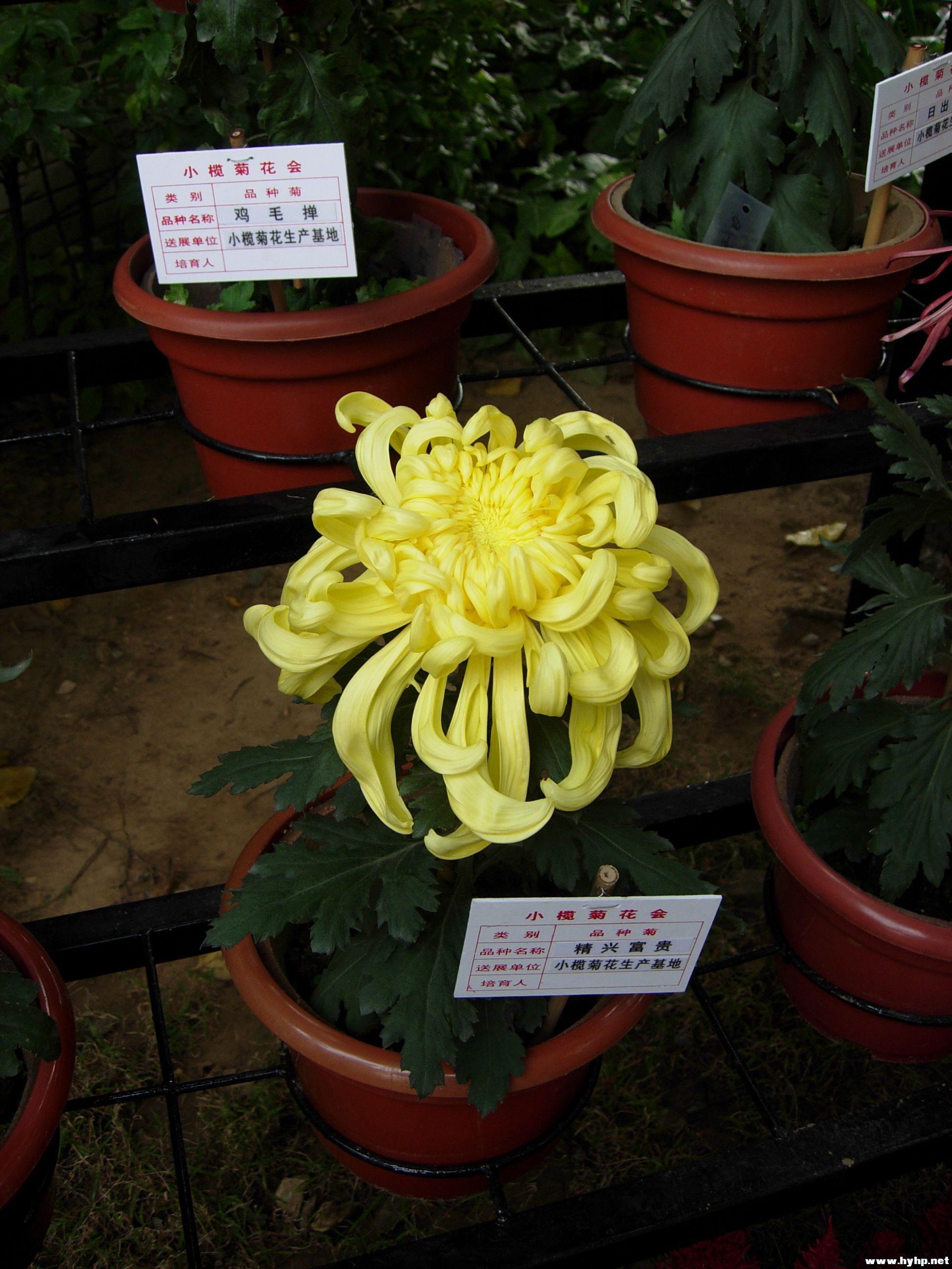 DSCN3941.JPG