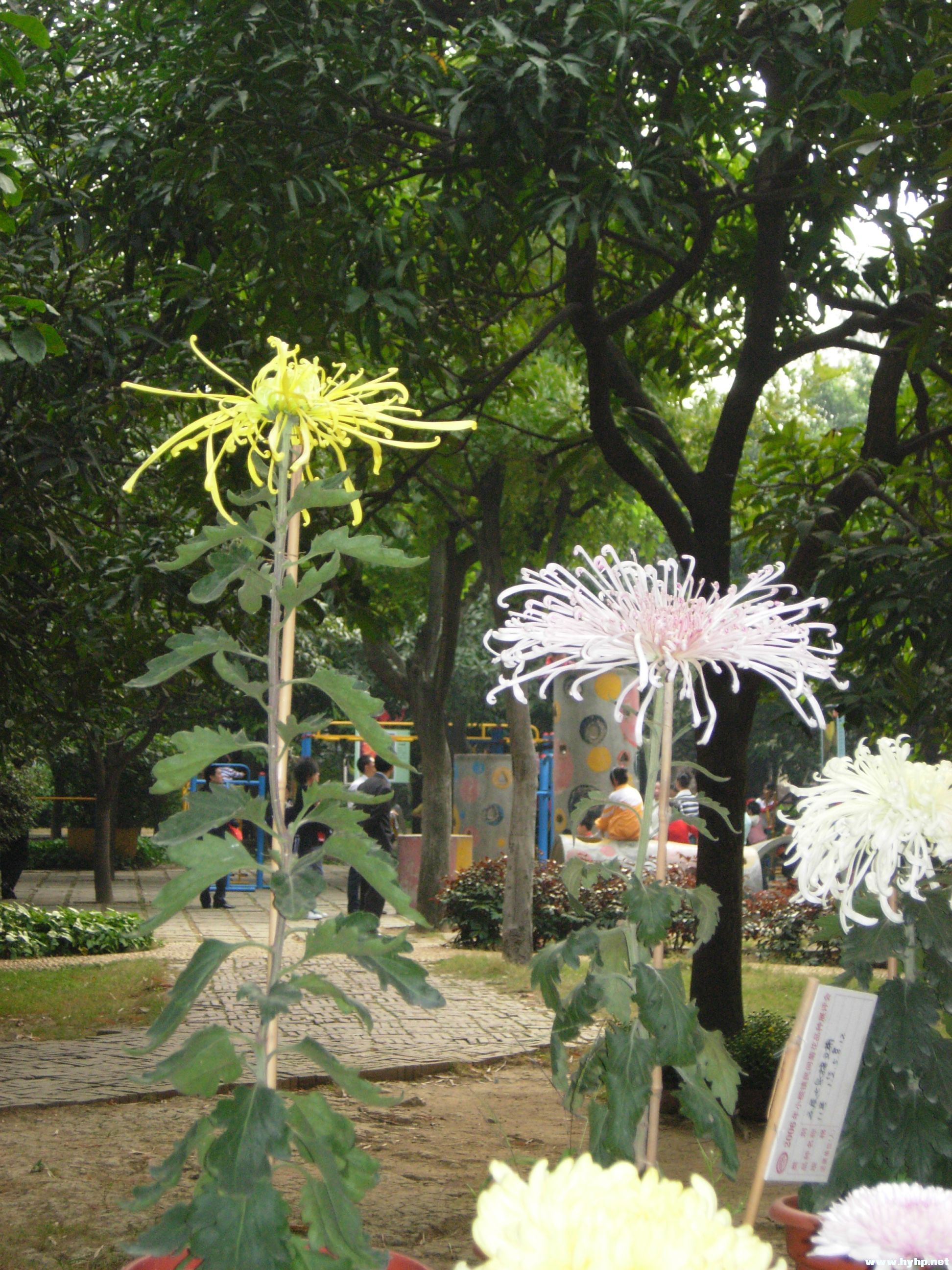 DSCN3955.JPG