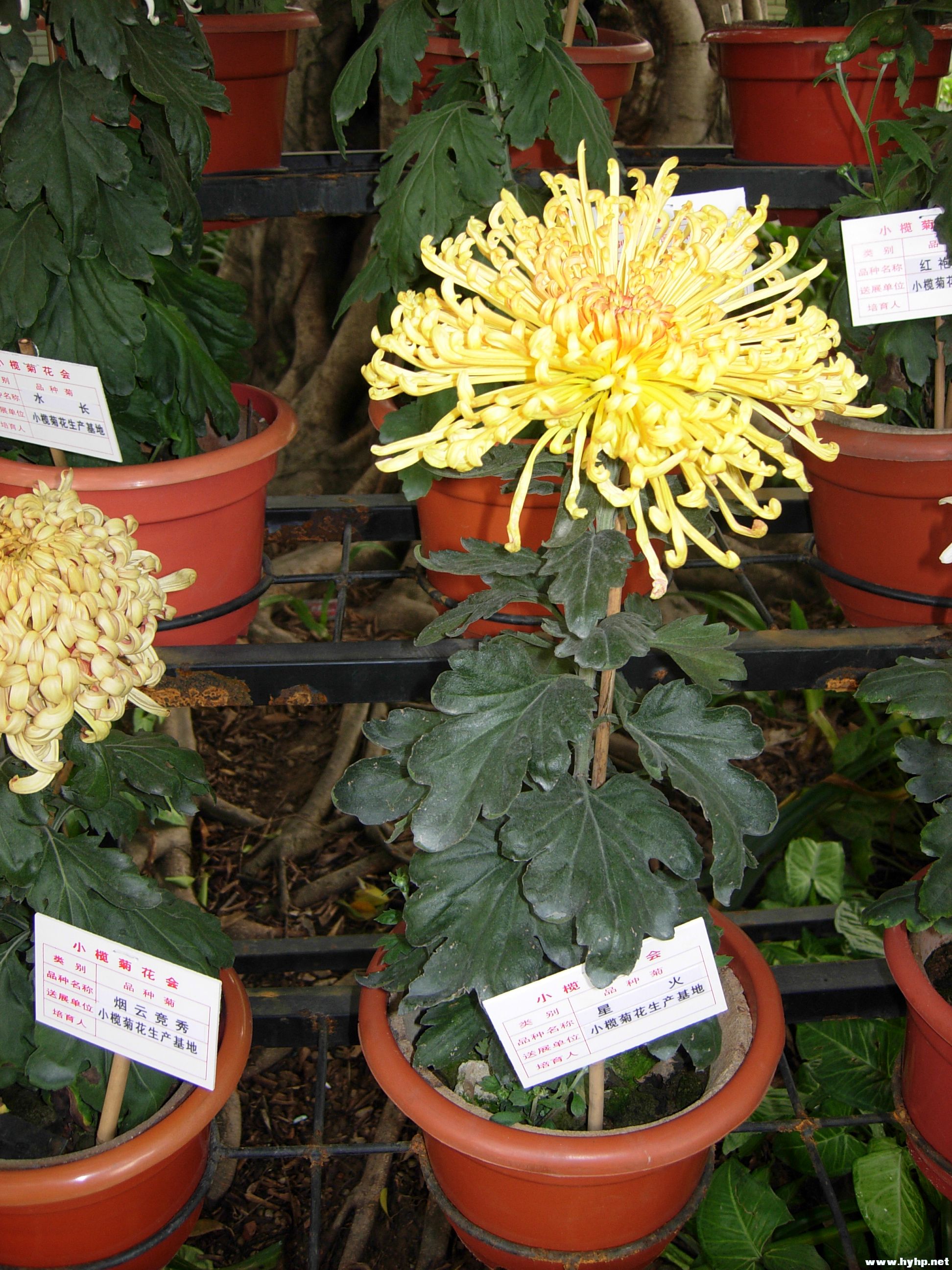 DSCN3944.JPG