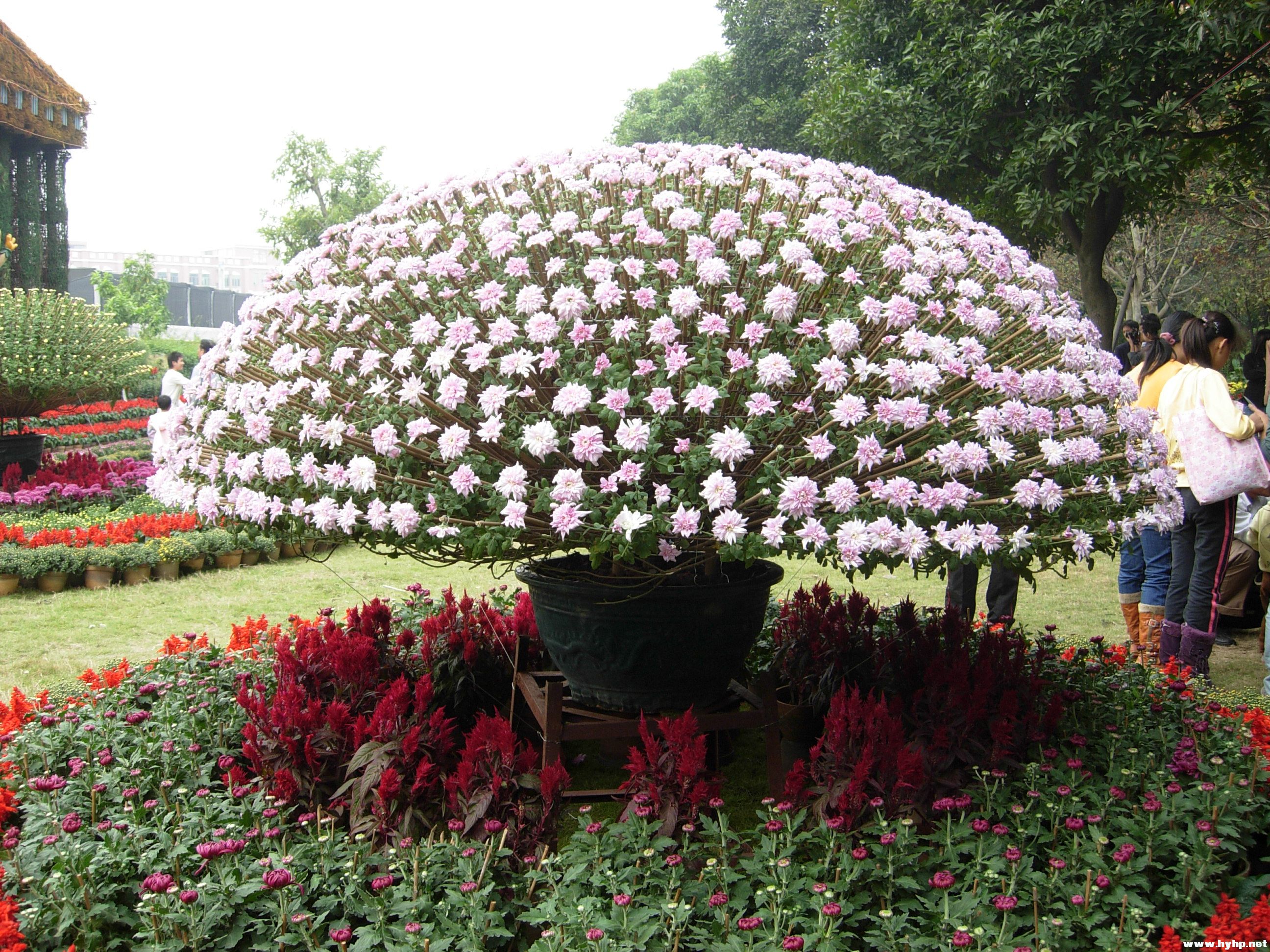 DSCN4004.JPG