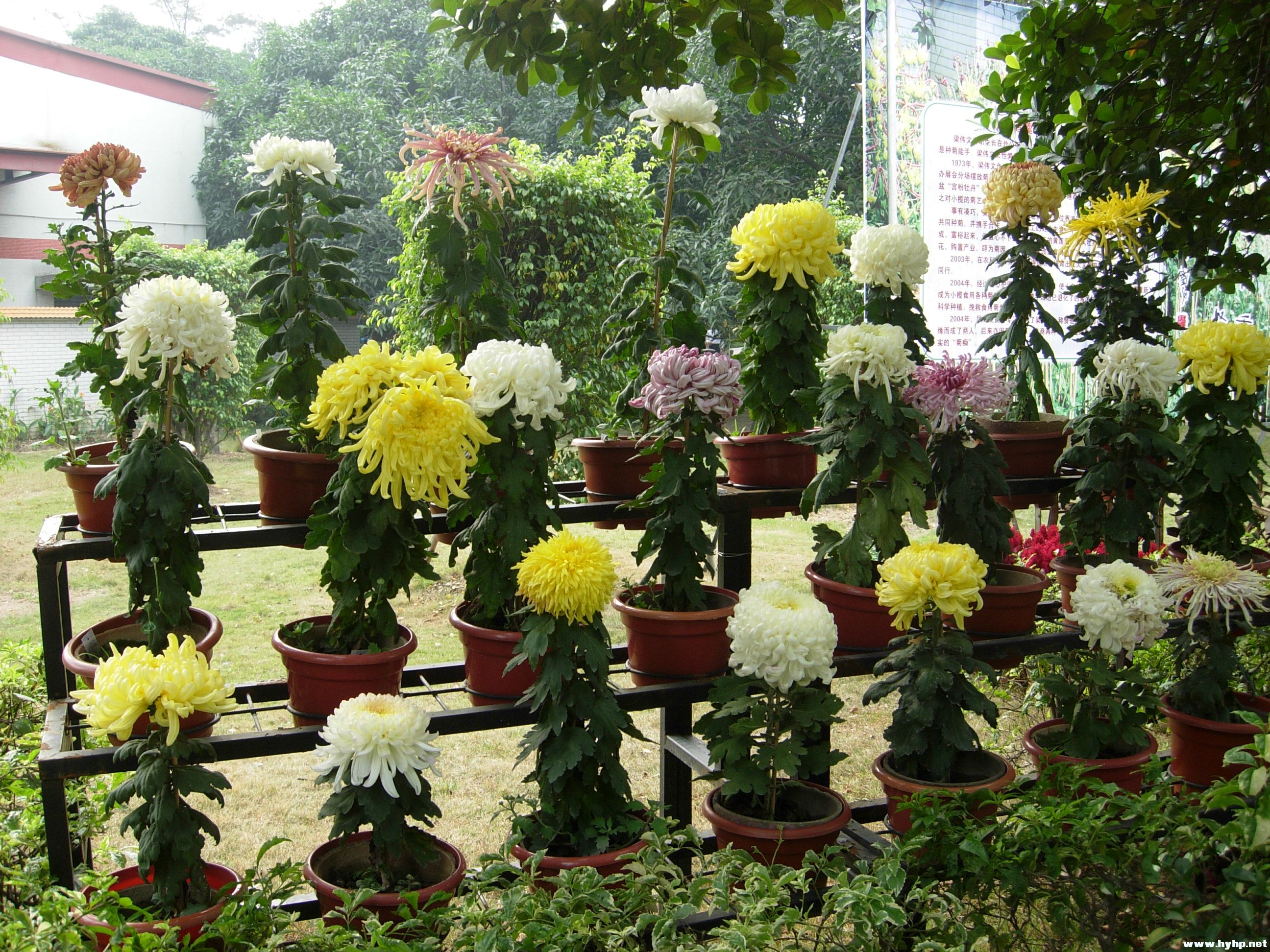 DSCN3950.JPG