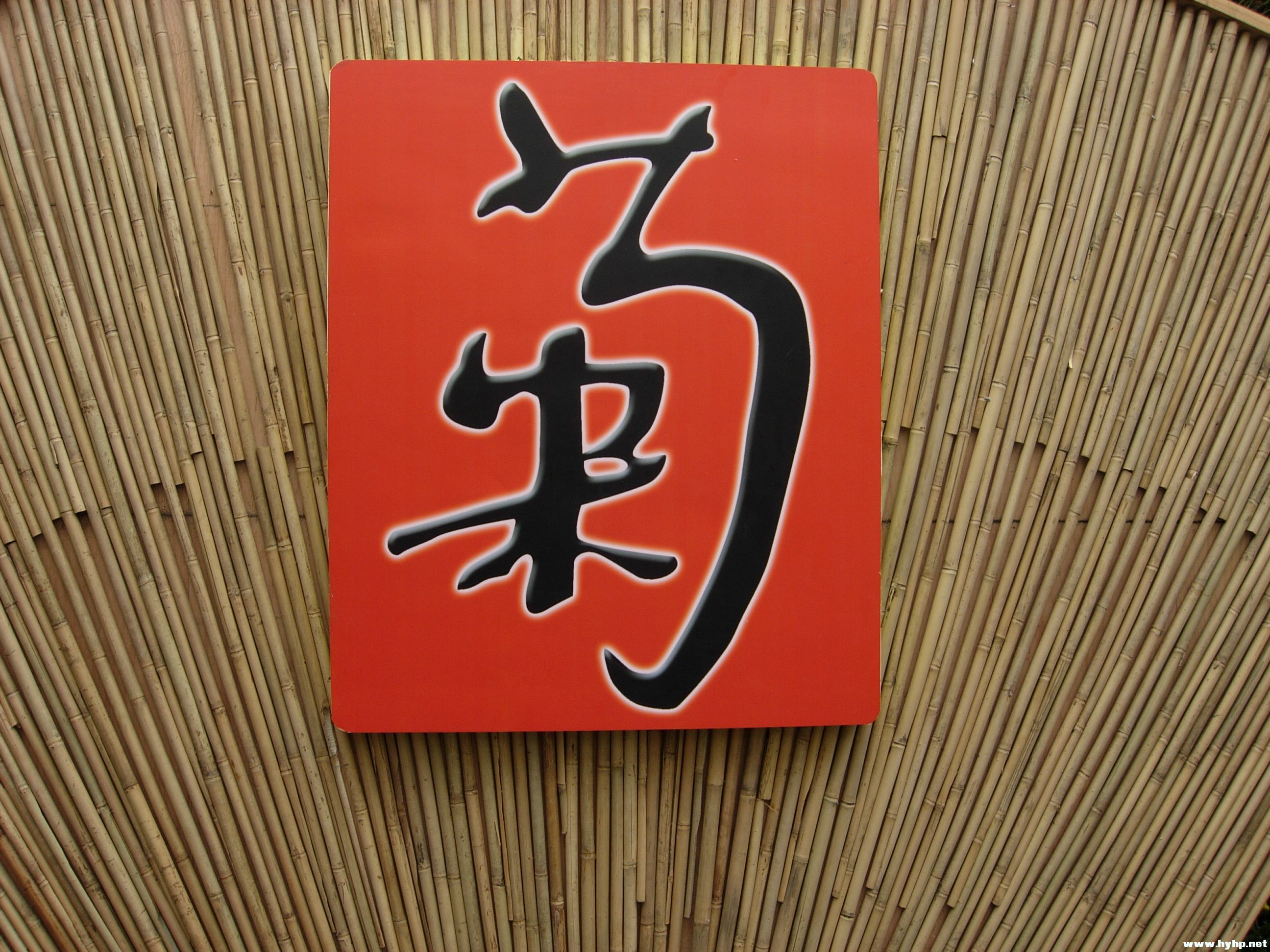 DSCN3935.JPG