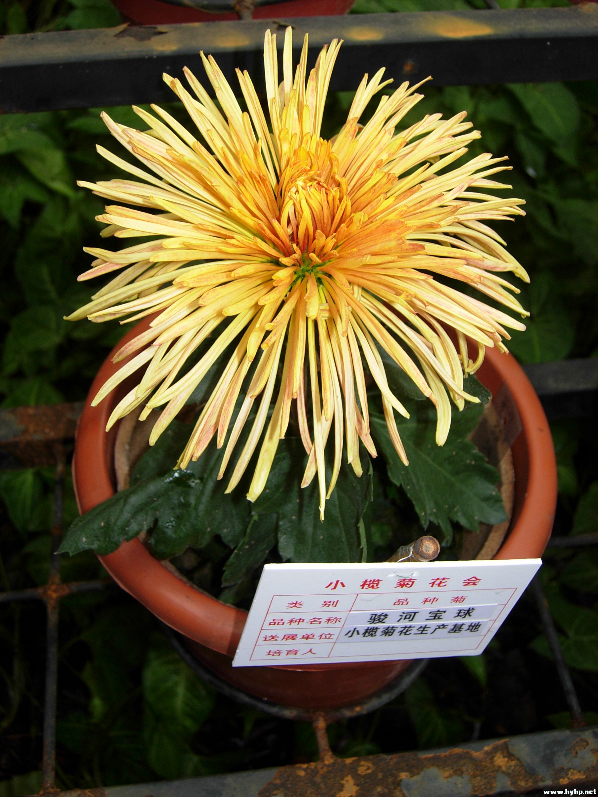 DSCN3997.JPG