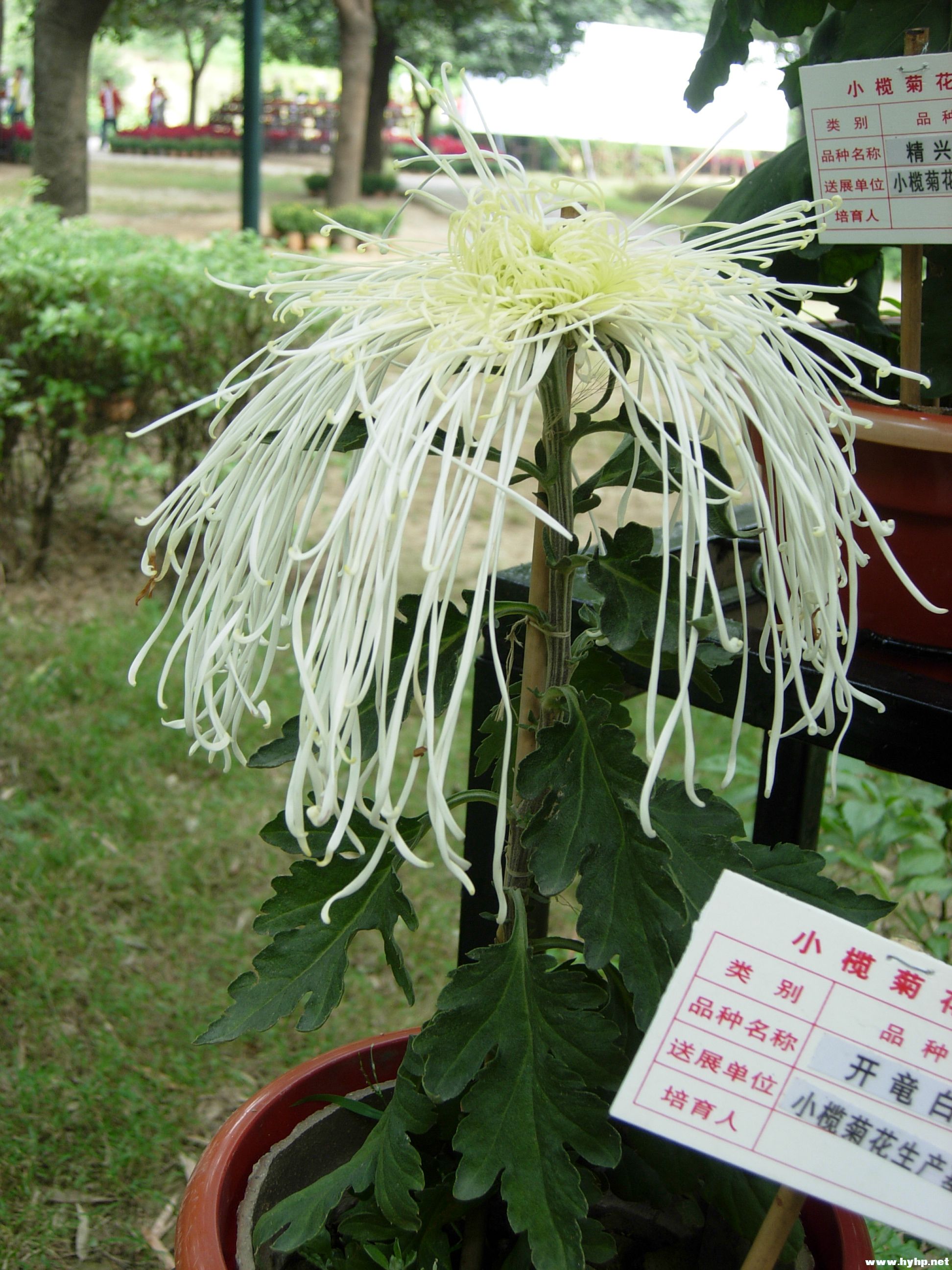 DSCN3966.JPG