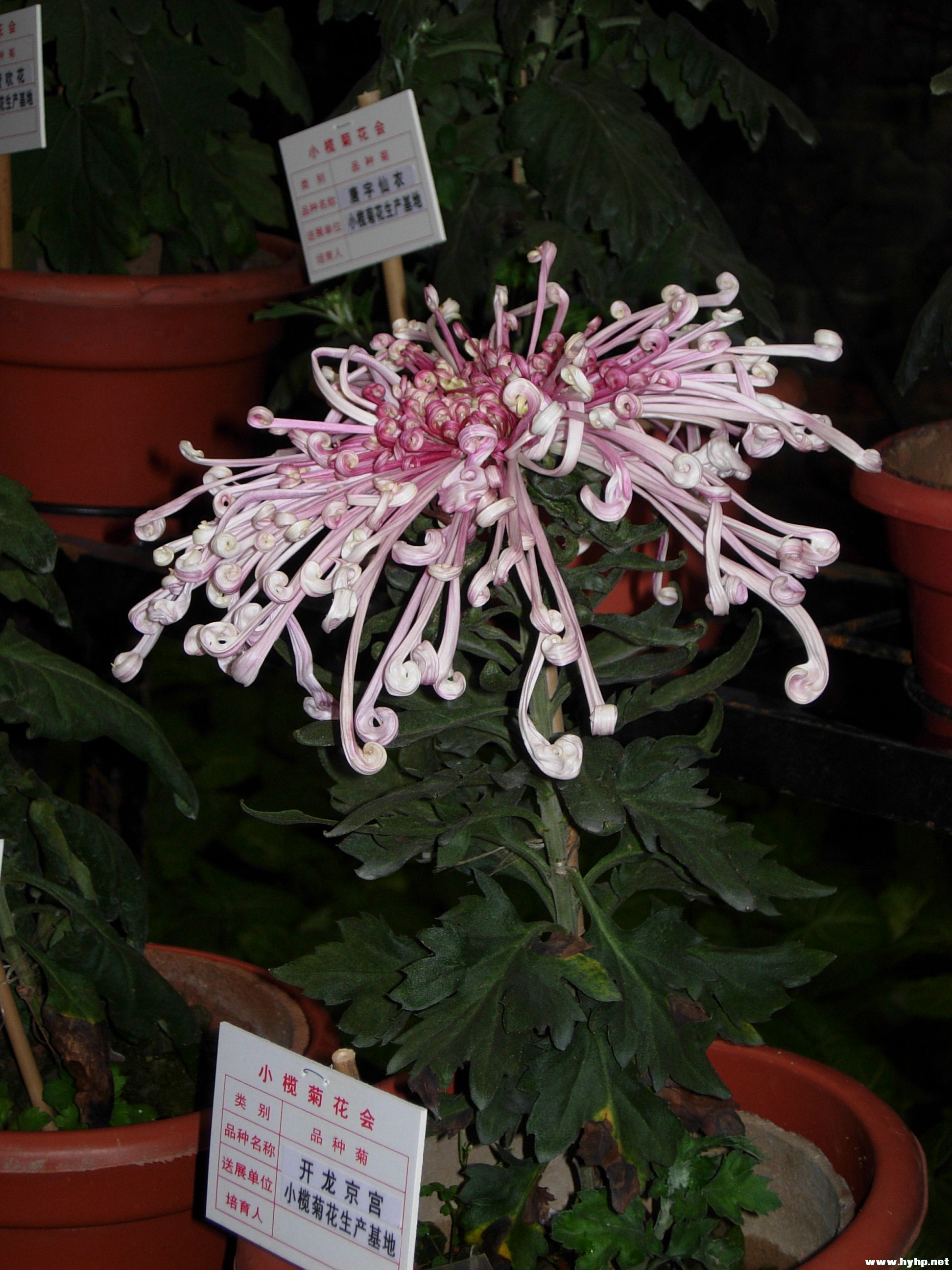 DSCN3991.JPG