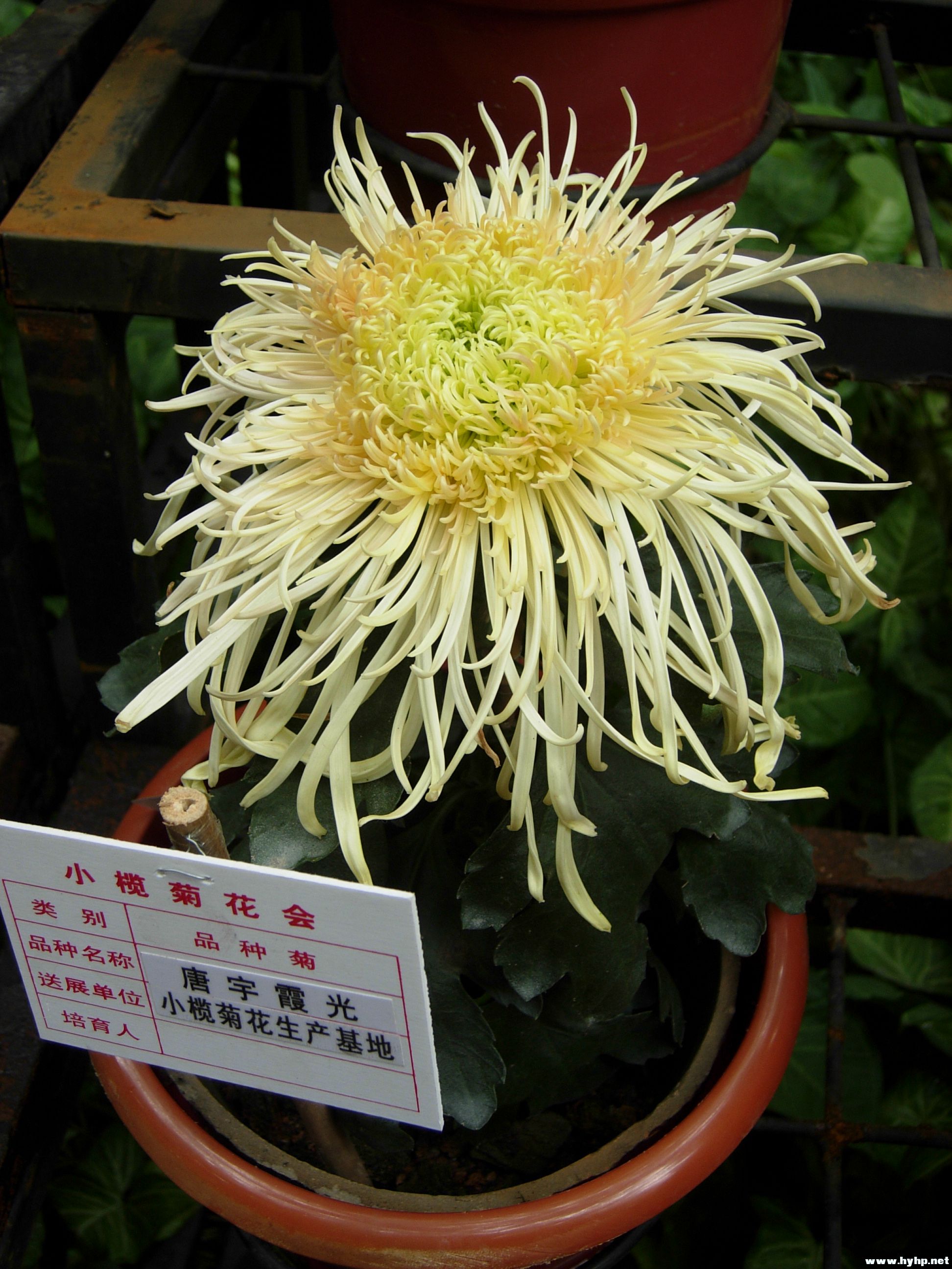 DSCN3996.JPG