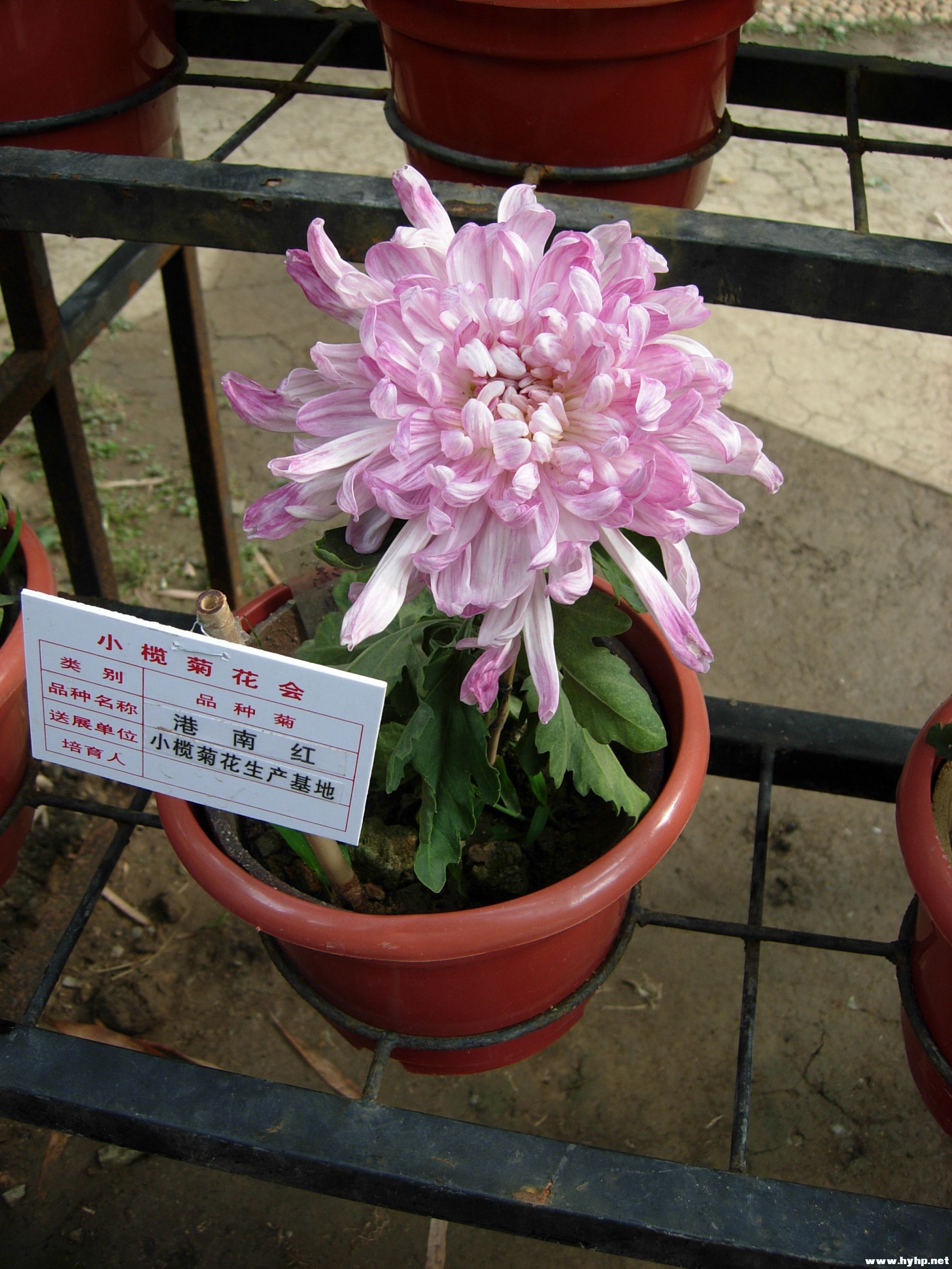 DSCN3972.JPG