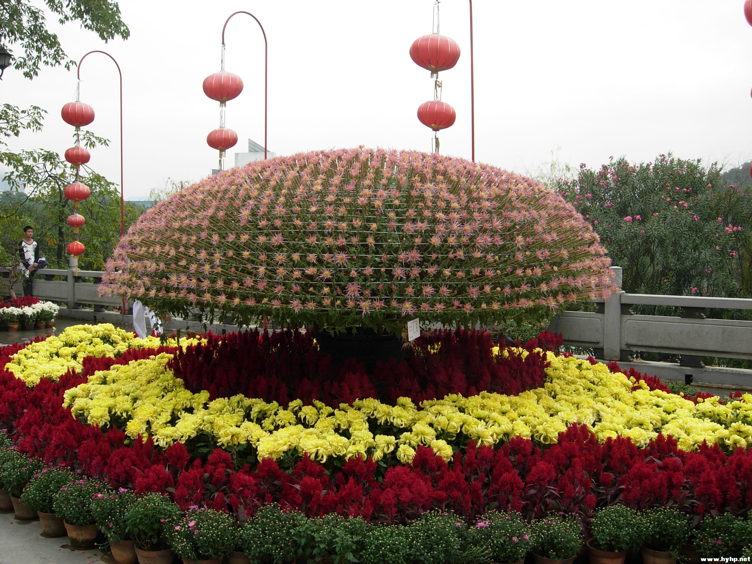 DSCN3927.JPG