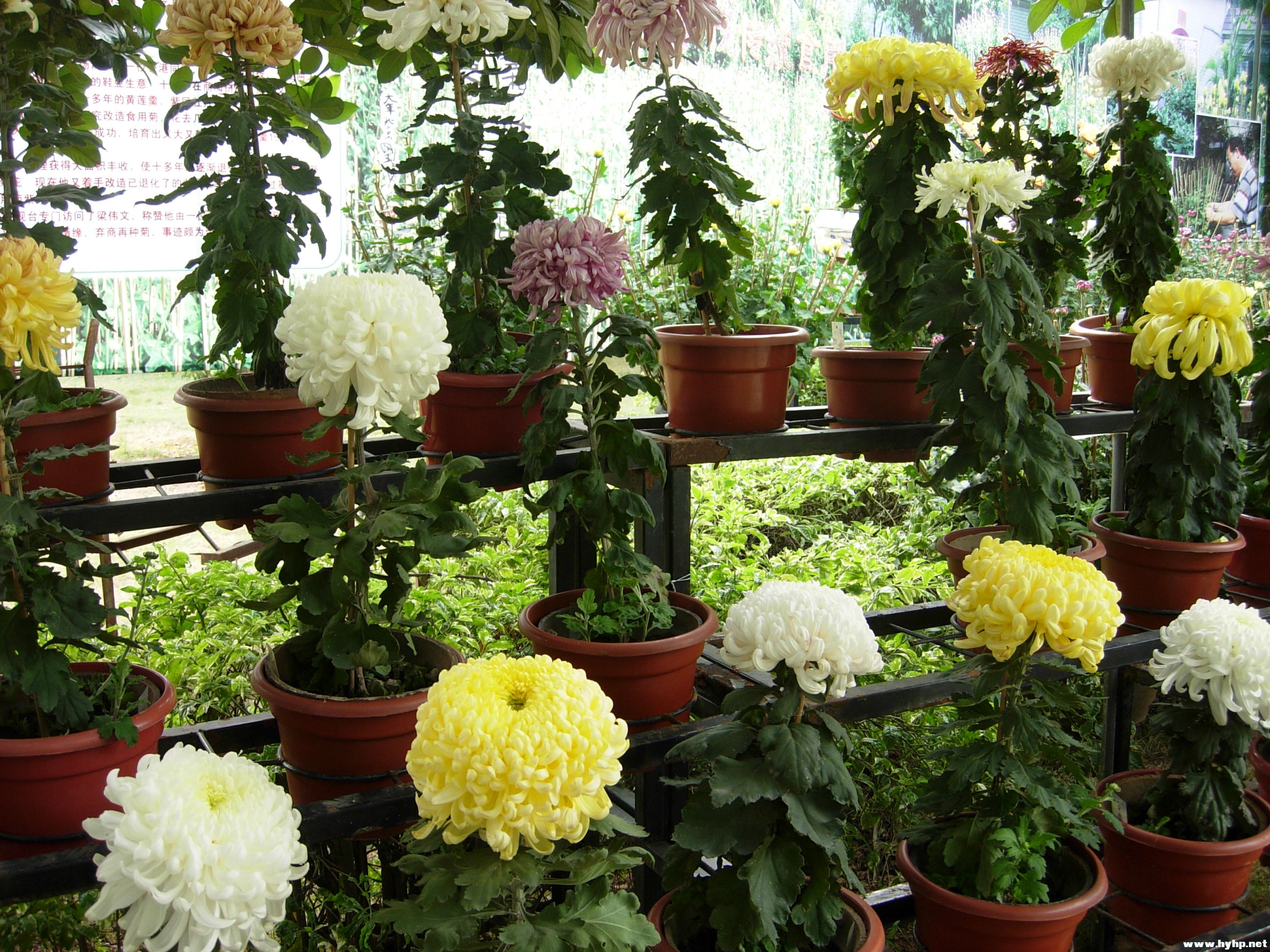 DSCN3951.JPG