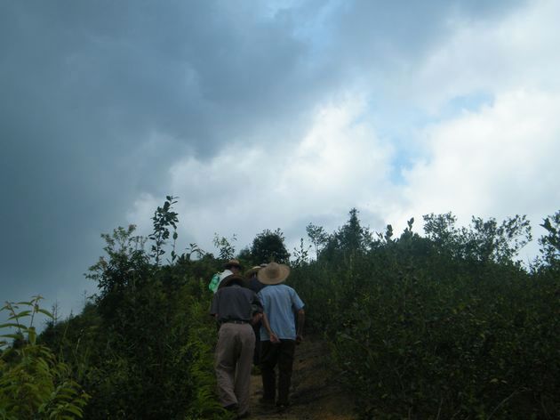 DSCF0217.JPG