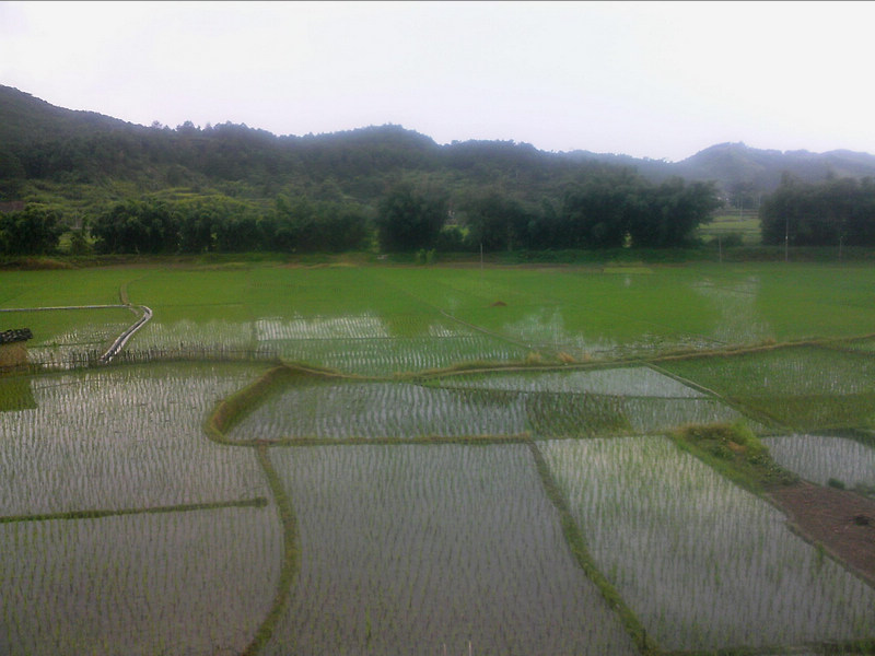 100805A013.jpg
