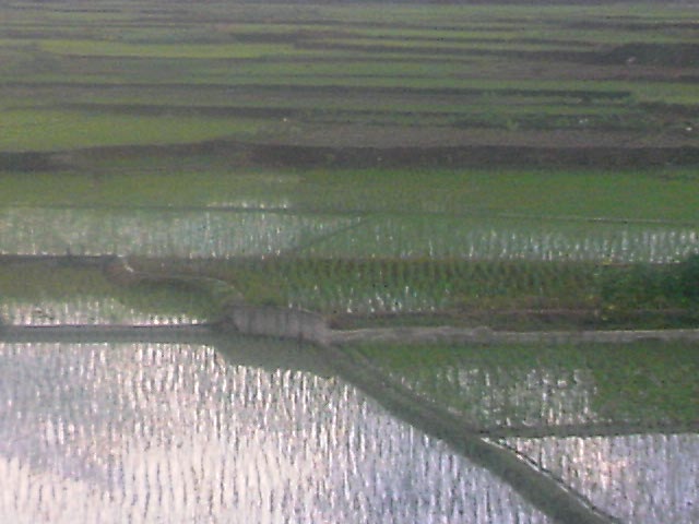 100805A017.jpg