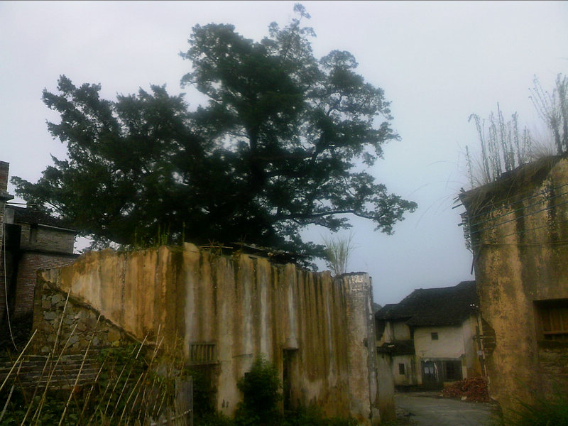 100805A021.jpg