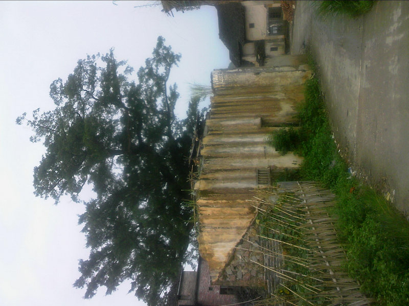 100805A019.jpg