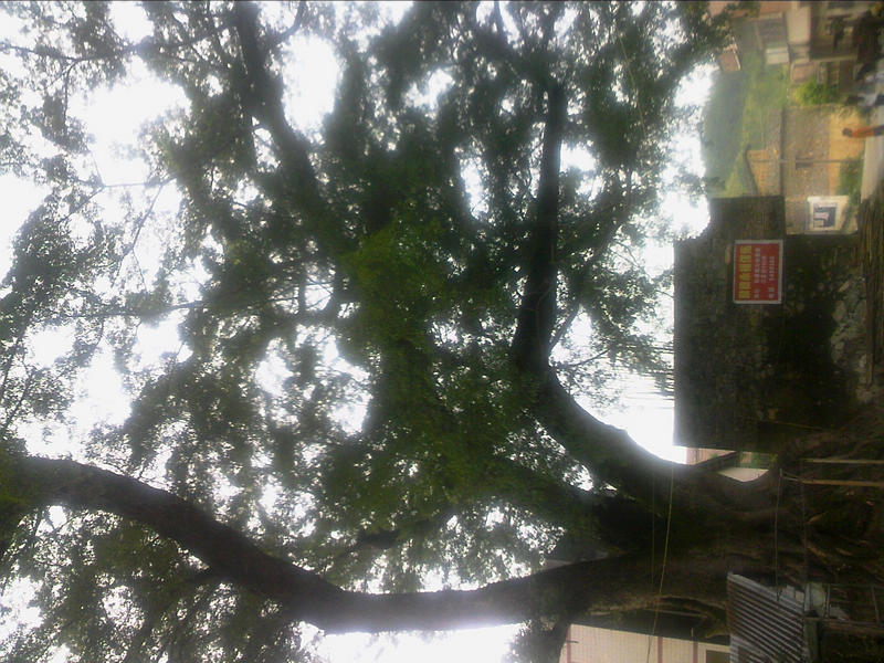 100805A022.jpg