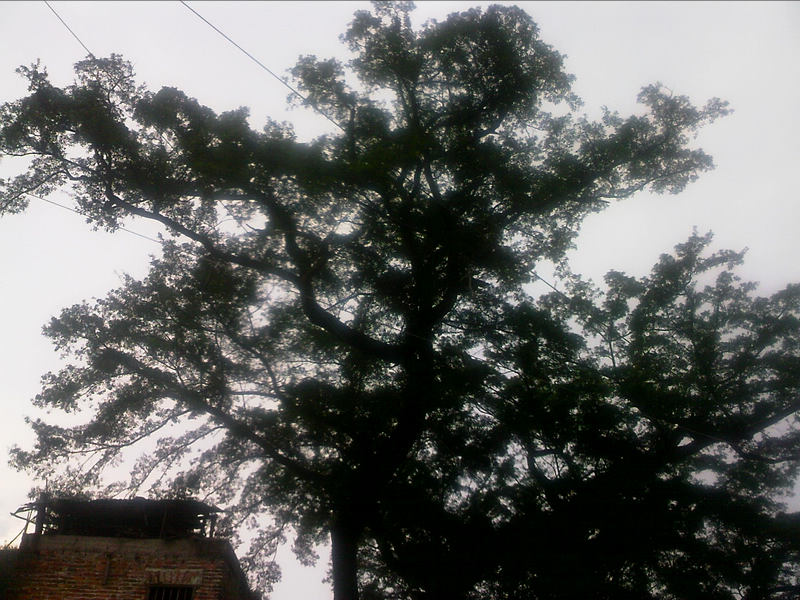 100805A024.jpg