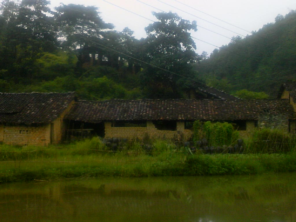 100805A073.jpg