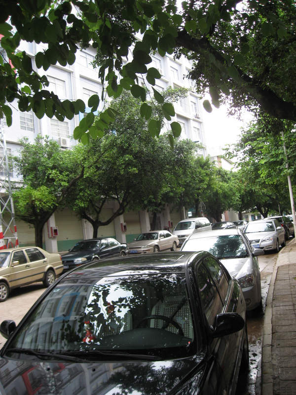 IMG_3111.jpg