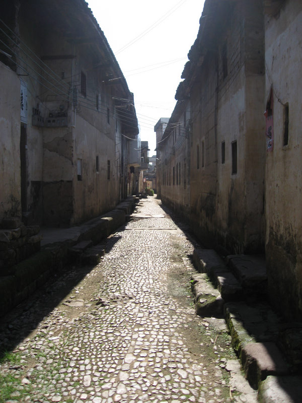 IMG_1542.jpg