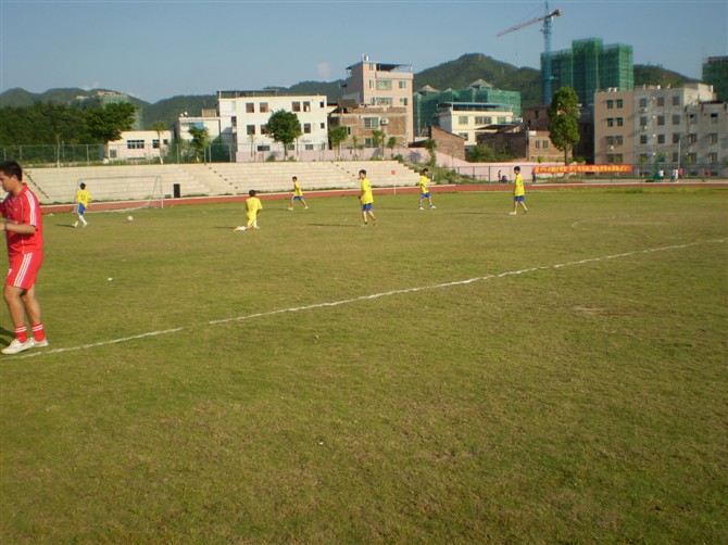 46456.jpg