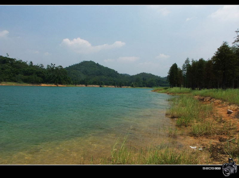 31羰 (30).JPG