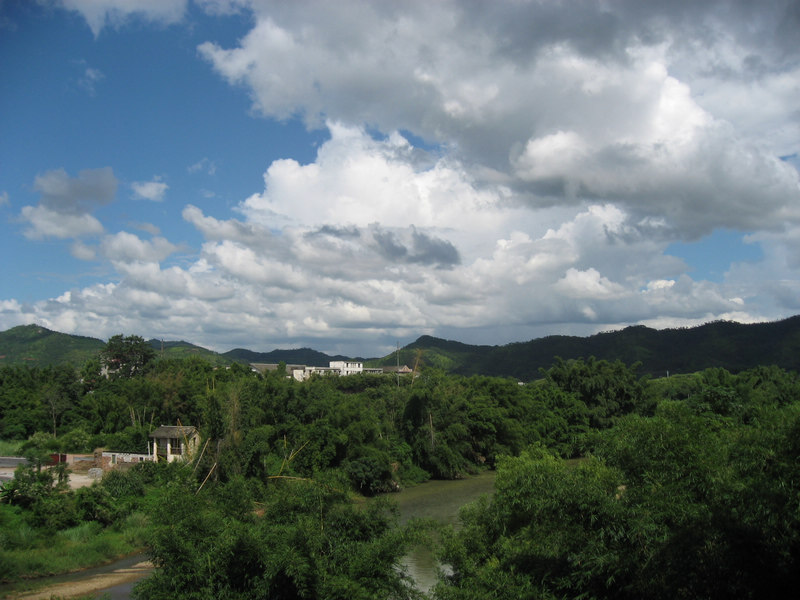 IMG_4218.jpg