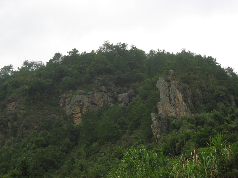 IMG_4437.jpg